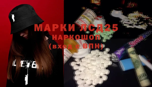 спайс Аркадак
